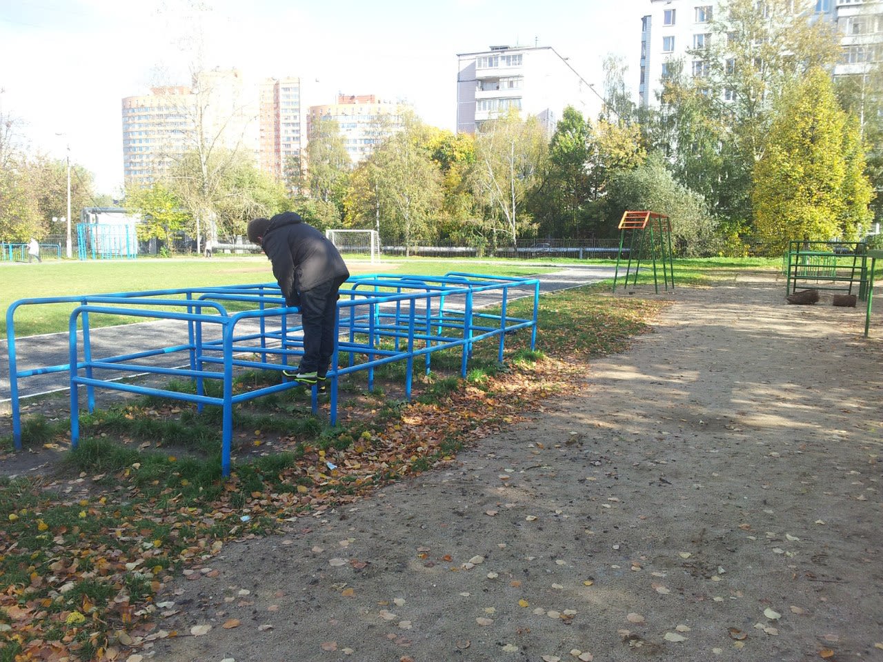 Wall Bars at Calisthenics Park at Куркинское шоссе, Химки – photo 9 of 12