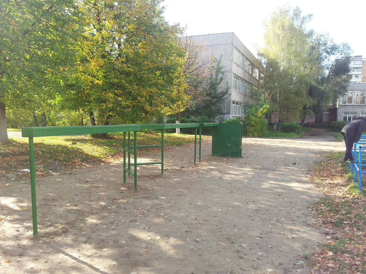 Monkey Bars at Calisthenics Park at Куркинское шоссе, Химки – photo 8 of 12