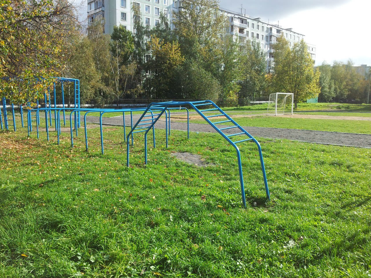 Monkey Bars at Calisthenics Park at Куркинское шоссе, Химки – photo 3 of 12