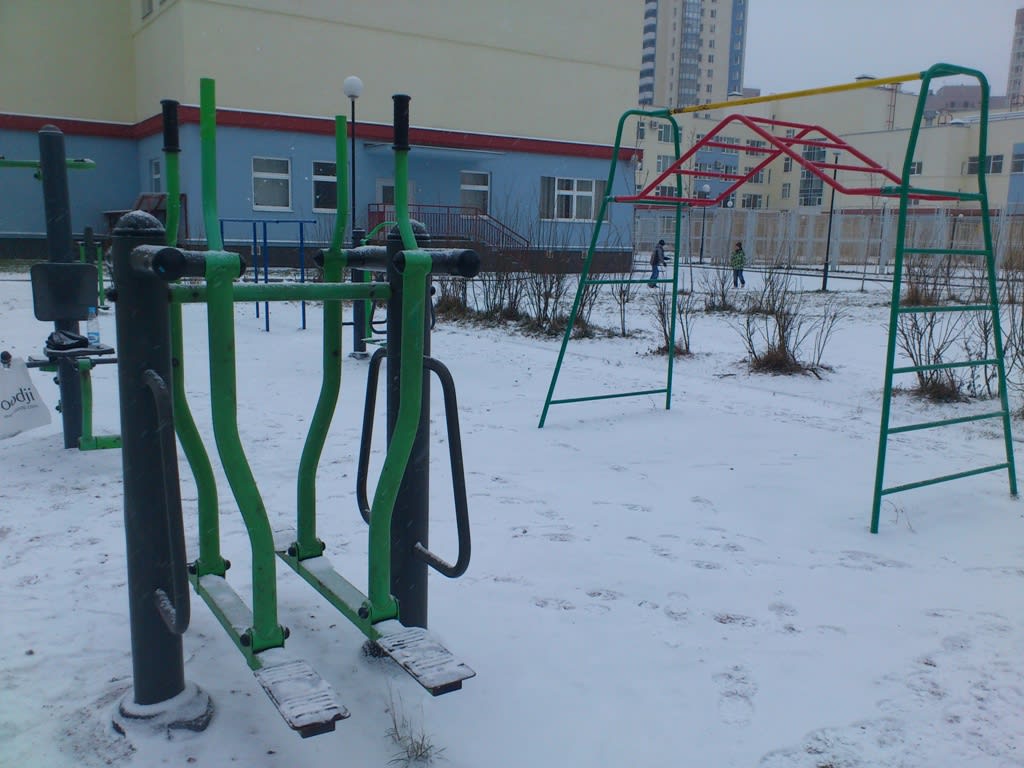 Wall Bars at Calisthenics Park at Мебельная улица, Санкт-Петербург – photo 4 of 5