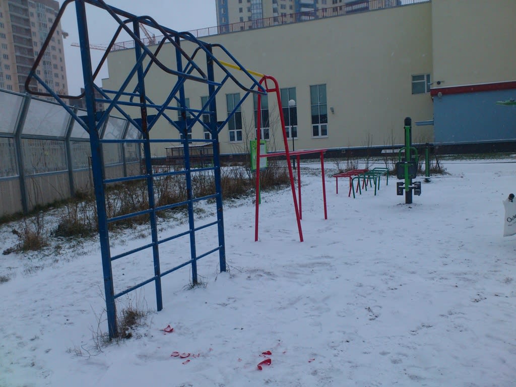 Pull Up Bar at Calisthenics Park at Мебельная улица, Санкт-Петербург – photo 5 of 5