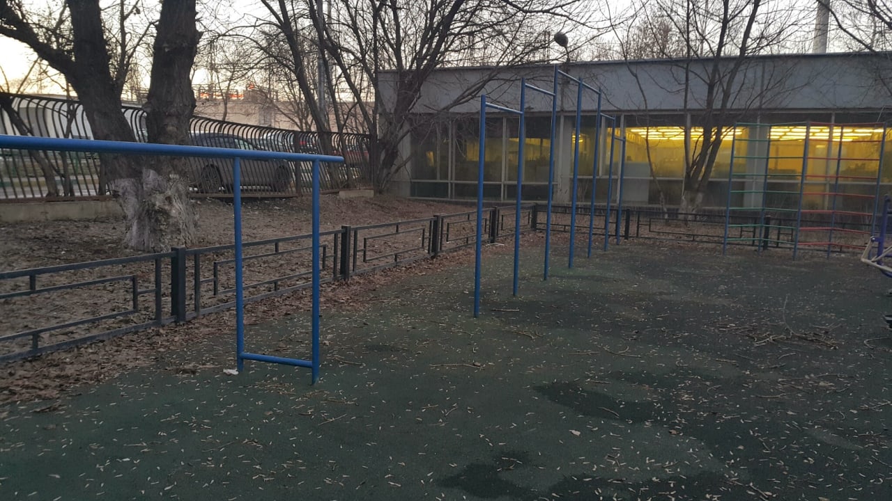 Monkey Bars at Calisthenics Park at Береговой проезд, Москва – photo 3 of 3