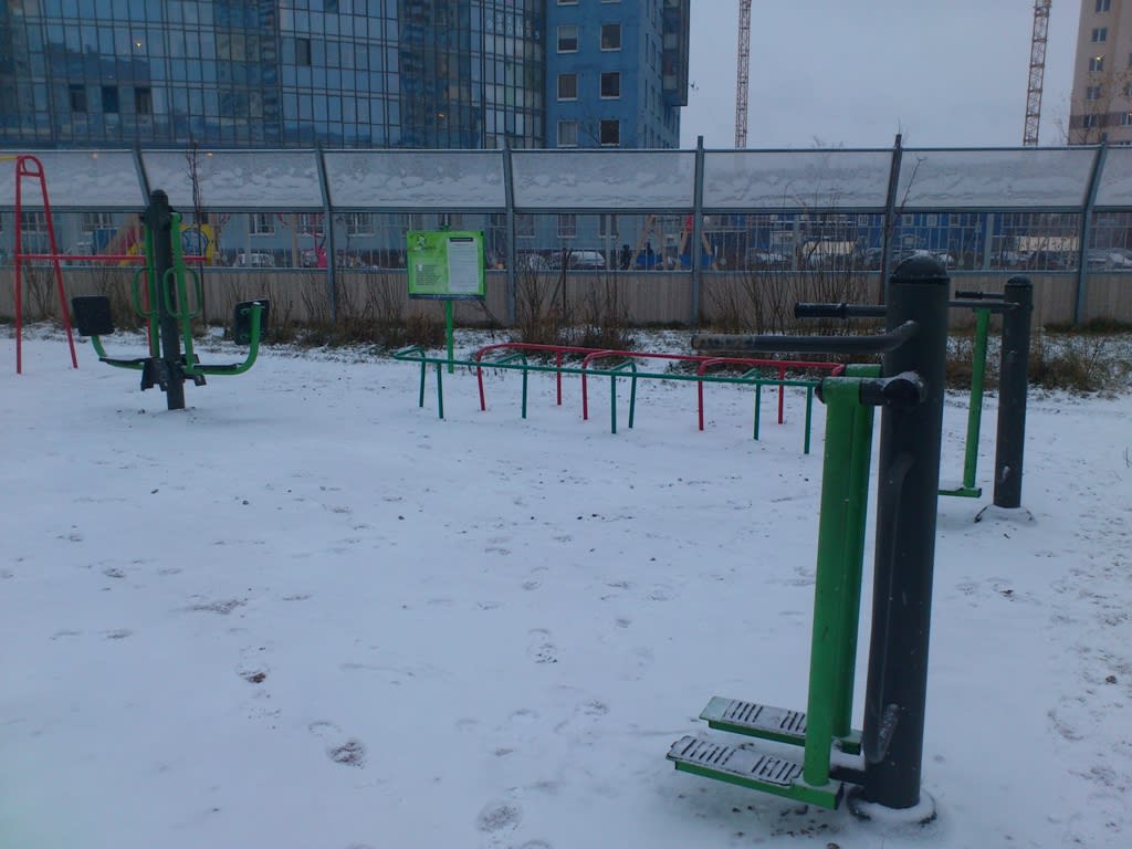 Monkey Bars at Calisthenics Park at Мебельная улица, Санкт-Петербург – photo 3 of 5