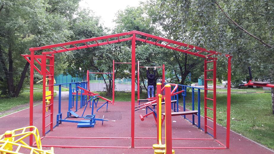 Monkey Bars at Calisthenics Park at улица Адмирала Макарова, Москва – photo 3 of 3