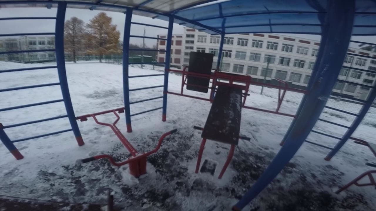Wall Bars at Calisthenics Park at улица Академика Капицы, Москва #wp2073 – photo 4 of 5