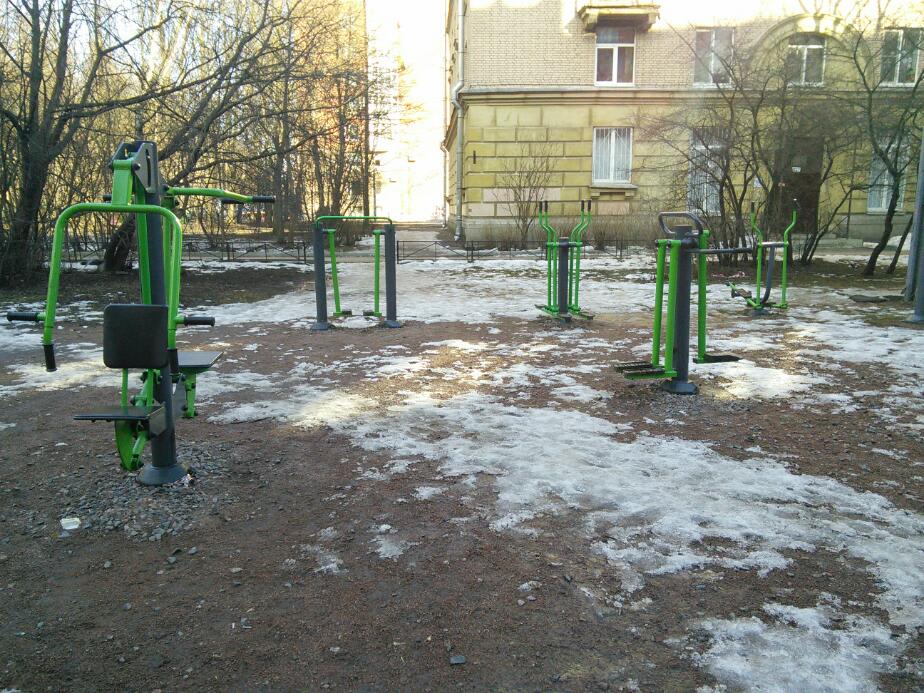 Air Walker at Calisthenics Park at улица Курчатова, Санкт-Петербург – photo 5 of 6