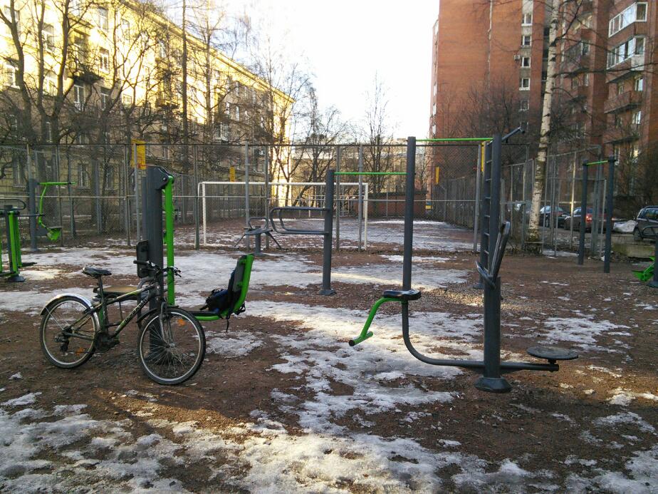 Air Skier at Calisthenics Park at улица Курчатова, Санкт-Петербург – photo 4 of 6