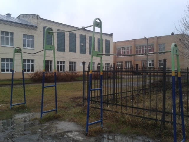 Barren bei Calisthenics Park at Рязанская улица, Егорьевск – Foto 3 von 4