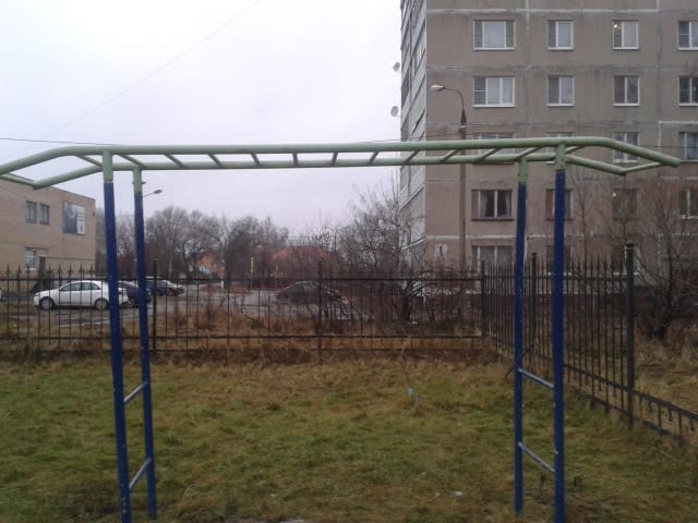 Klimmzugstange bei Calisthenics Park at Рязанская улица, Егорьевск – Foto 1 von 4
