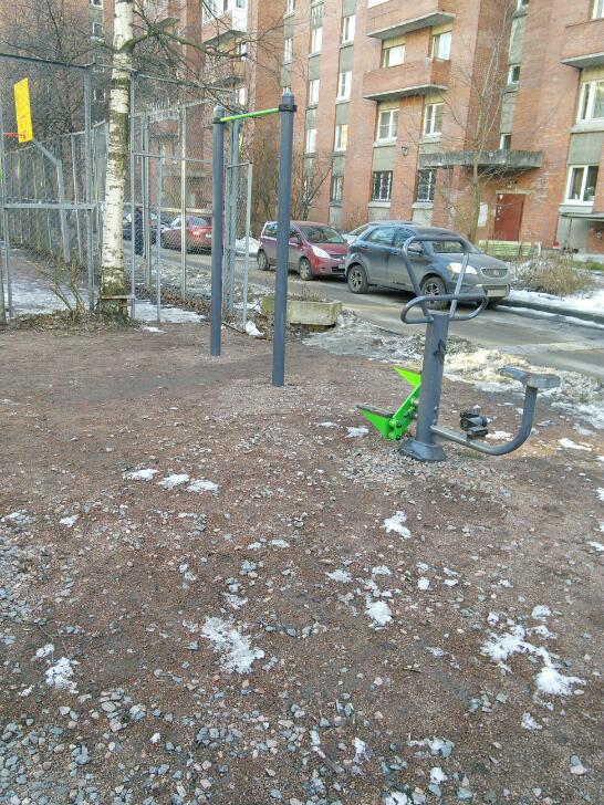 Wall Bars at Calisthenics Park at улица Курчатова, Санкт-Петербург – photo 3 of 6