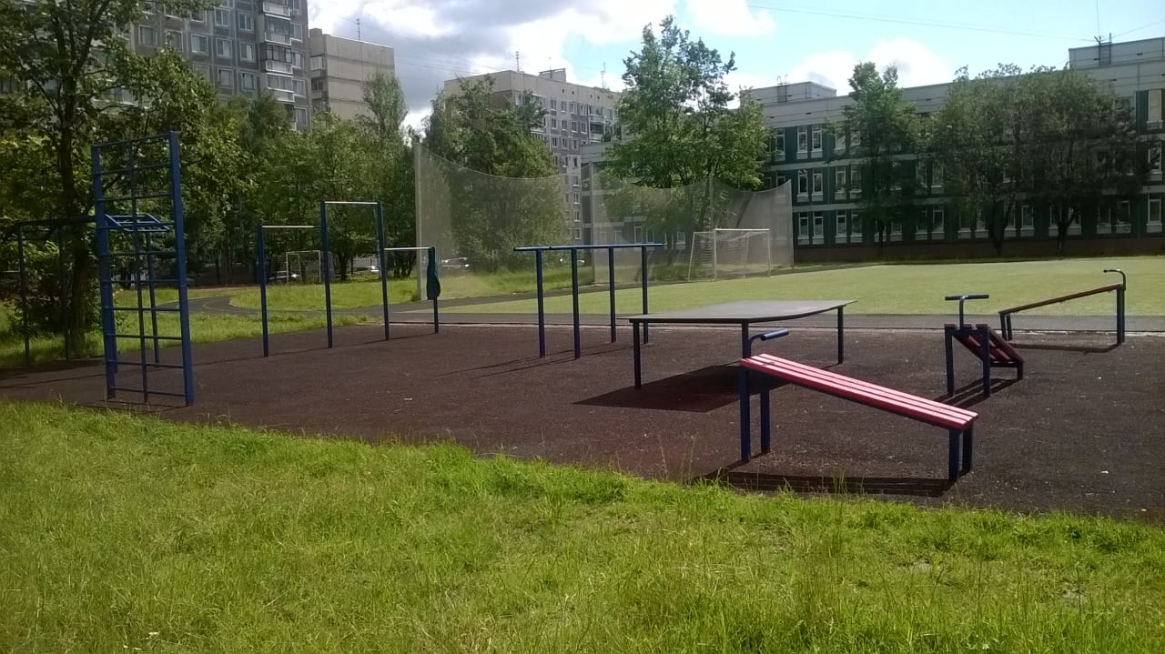 Monkey Bars at Calisthenics Park at проспект Авиаконструкторов, Санкт-Петербург – photo 3 of 3
