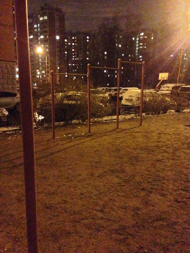 Турнік на майданчику Calisthenics Park at 13-я Парковая улица, Москва – фото 1 з 3