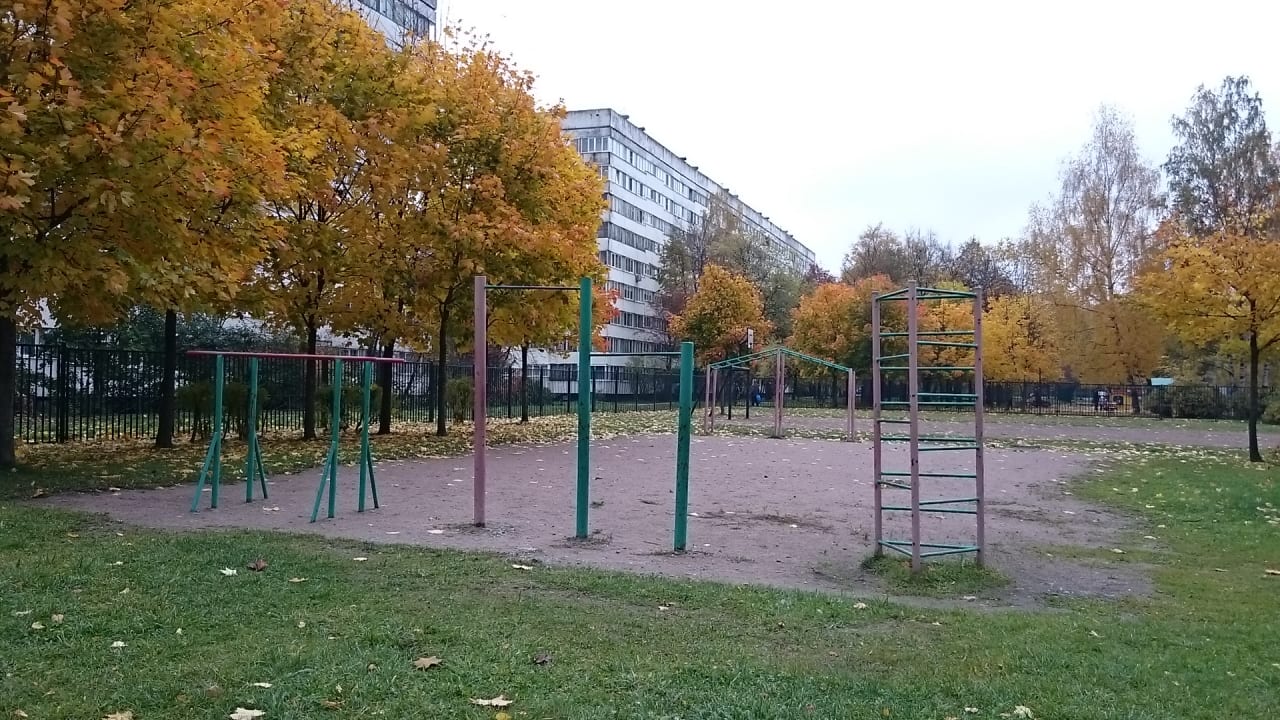 Parallel Gym Bars at Calisthenics Park at улица Демьяна Бедного, Санкт-Петербург – photo 2 of 2