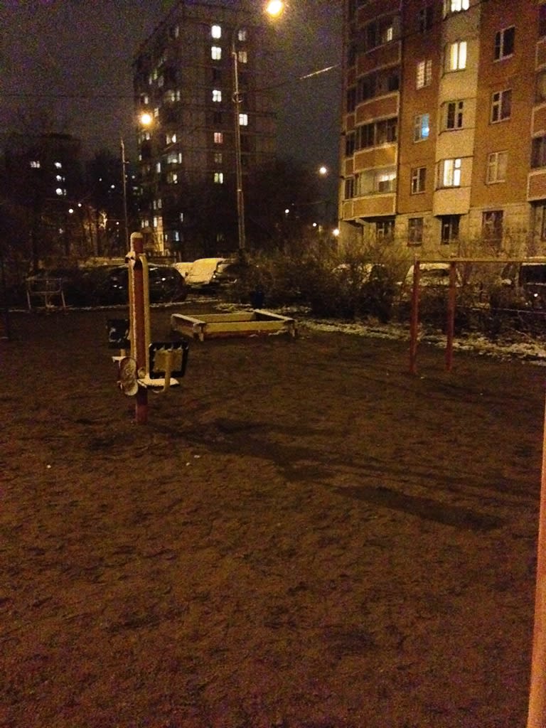 Бруси на майданчику Calisthenics Park at 13-я Парковая улица, Москва – фото 2 з 3