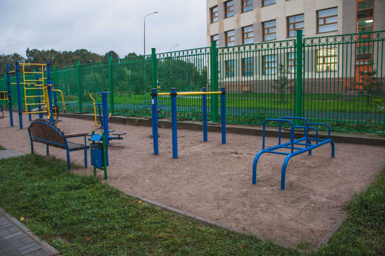 Monkey Bars at Calisthenics Park at Митинская улица, Москва – photo 3 of 6