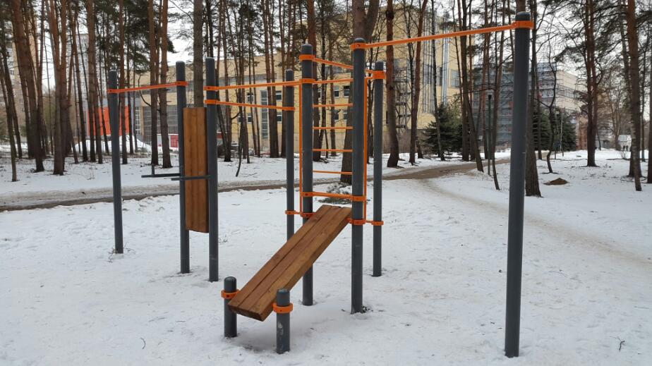 Бруси на майданчику Calisthenics Park at улица Гамалеи, Москва – фото 2 з 2