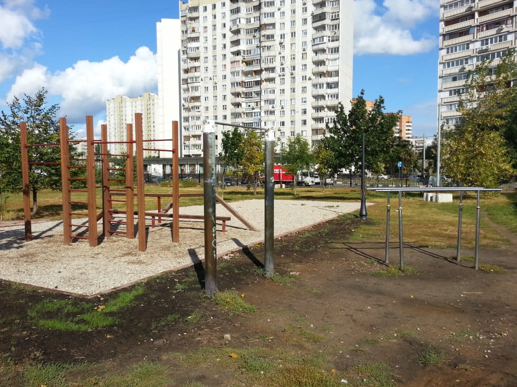Pull Up Bar at Calisthenics Park at улица Гурьянова, Москва – photo 1 of 5