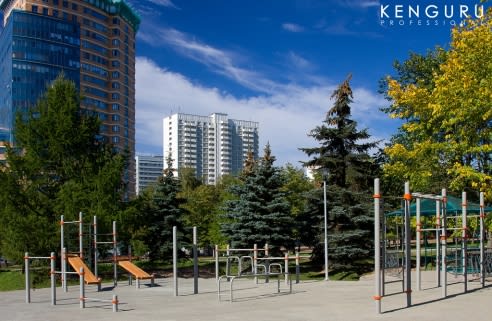 Monkey Bars at Calisthenics Park at проспект Вернадского, Москва #wp2111 – photo 3 of 3