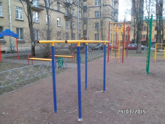 Monkey Bars at Calisthenics Park at улица Ткачей, Санкт-Петербург – photo 6 of 8