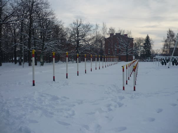 Barras Paralelas en Calisthenics Park at Вишнёвая улица, городской округ Пенза – foto 2 de 3