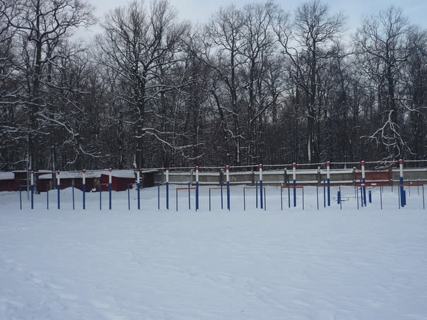 Barra de Dominadas en Calisthenics Park at Вишнёвая улица, городской округ Пенза – foto 1 de 3