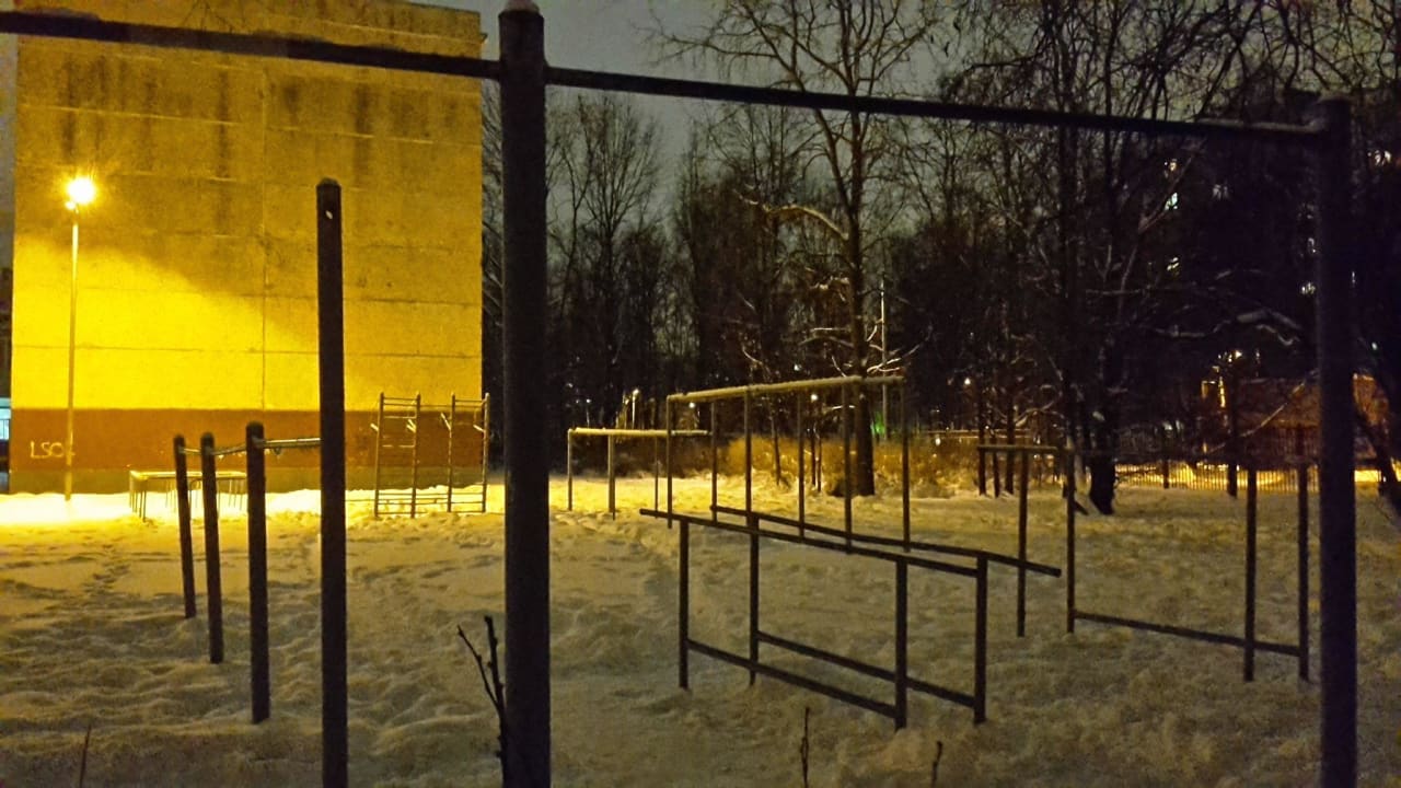 Monkey Bars at Calisthenics Park at Северный проспект, Санкт-Петербург #wp2109 – photo 3 of 3