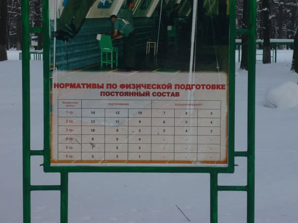 Barras de Mono en Calisthenics Park at Вишнёвая улица, городской округ Пенза – foto 3 de 3