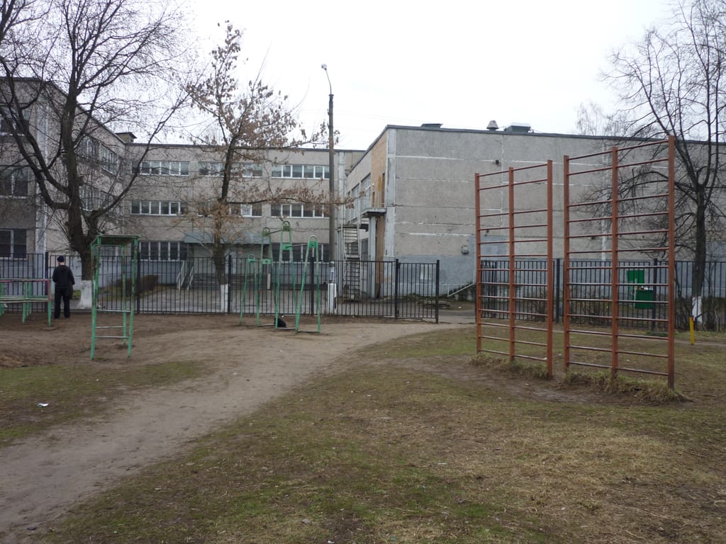 Hangelstange bei Calisthenics Park at улица Дугина, Жуковский – Foto 7 von 8