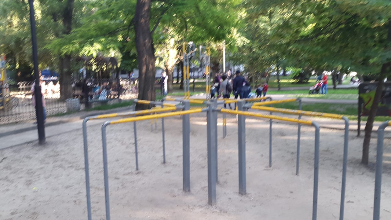 Monkey Bars at Calisthenics Park at Пушкинская улица, Ростов-на-Дону – photo 3 of 7
