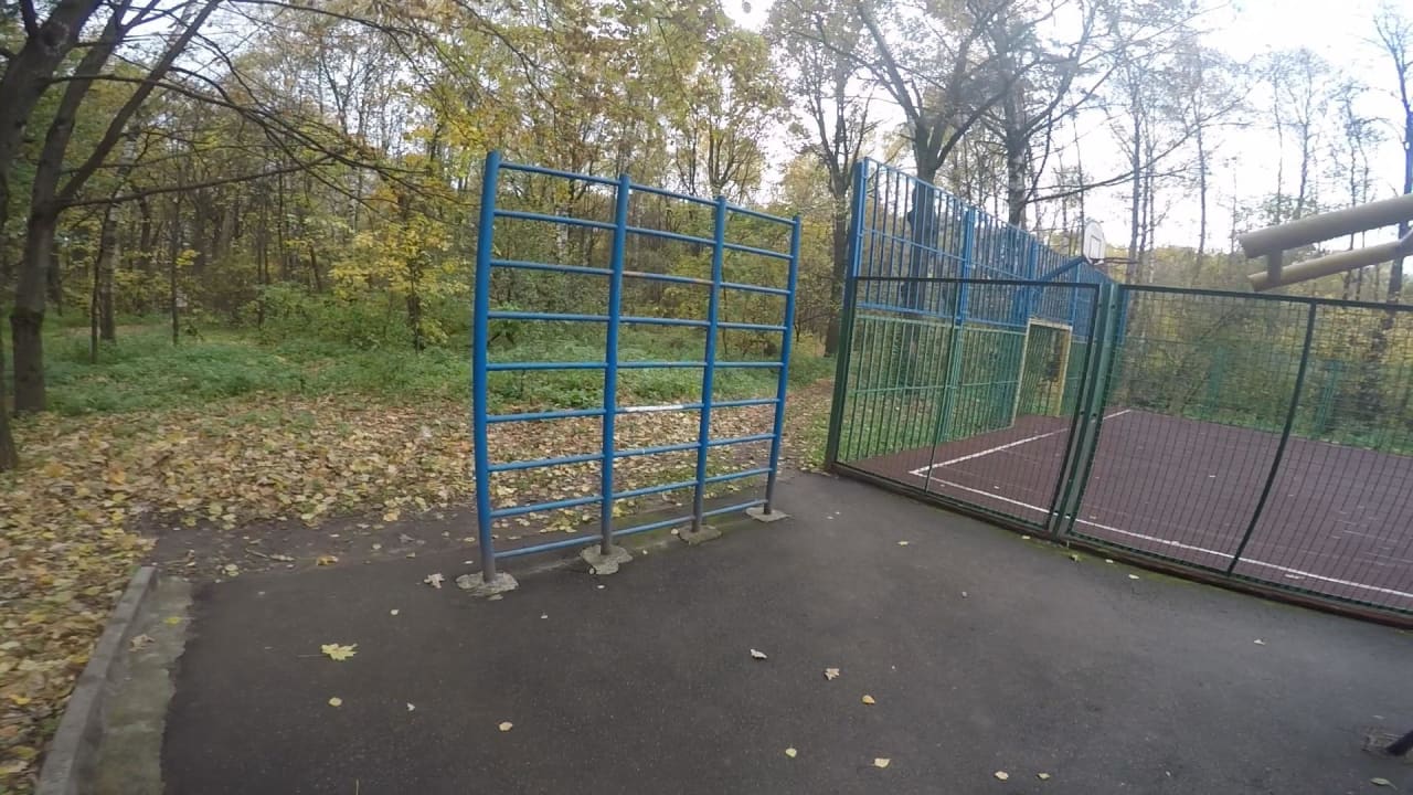 Monkey Bars at Calisthenics Park at Зелёная улица, Химки – photo 3 of 4