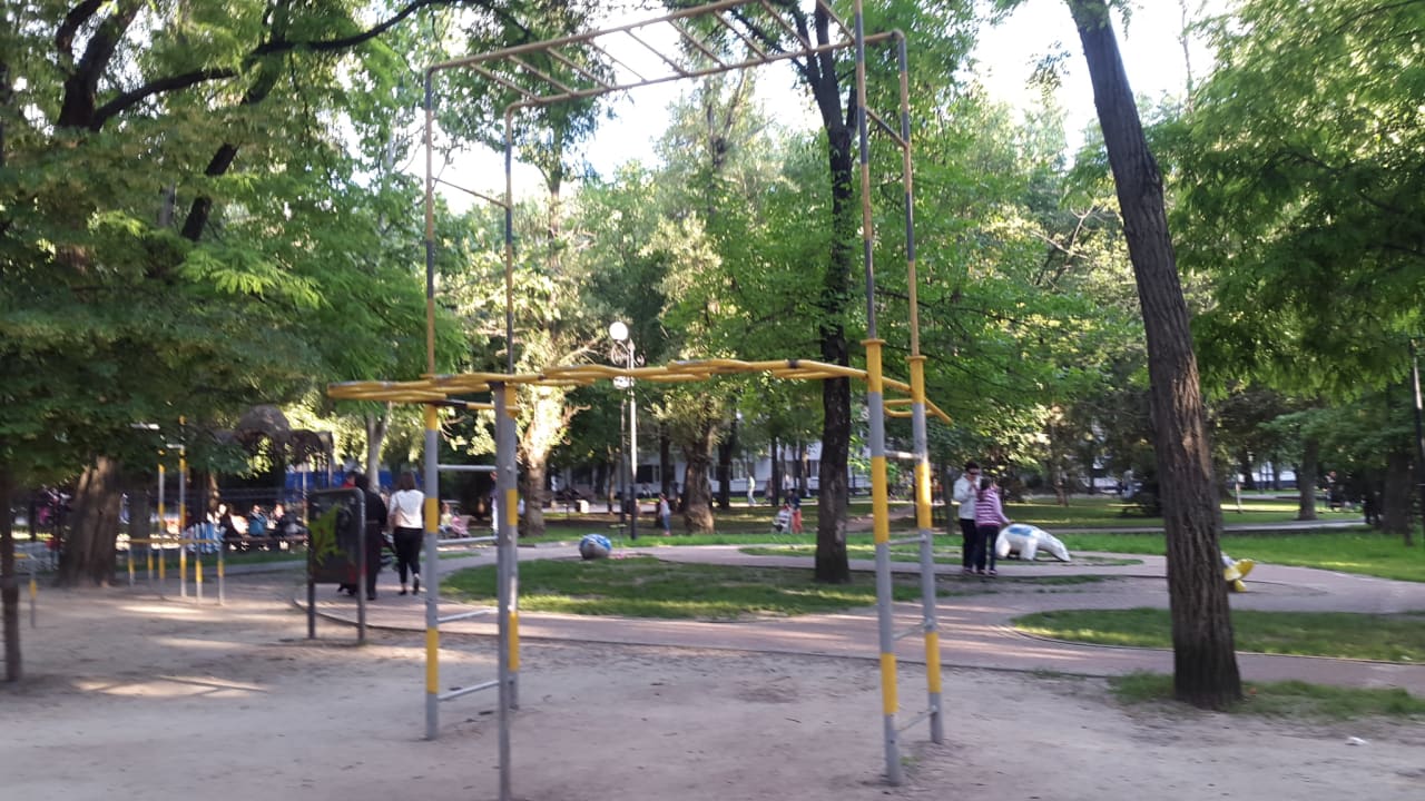 Monkey Bars at Calisthenics Park at Пушкинская улица, Ростов-на-Дону – photo 7 of 7