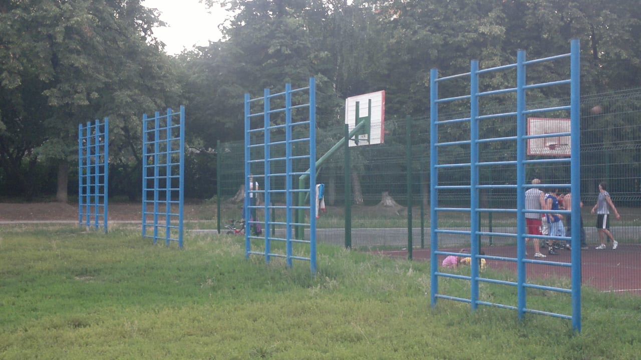 Klimmzugstange bei Calisthenics Park at 6-я линия, Рязань – Foto 1 von 4