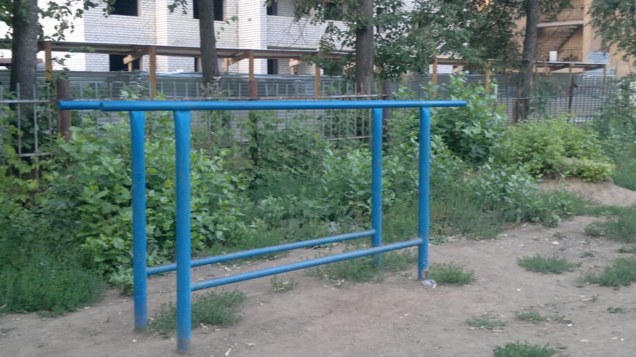 Sprossenwand bei Calisthenics Park at 6-я линия, Рязань – Foto 4 von 4
