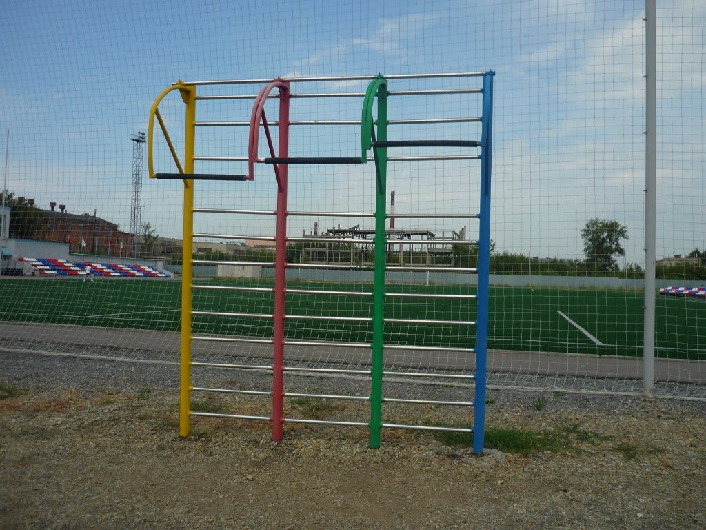 Klimmzugstange bei Calisthenics Park at Зенит, городской округ Пенза – Foto 1 von 6