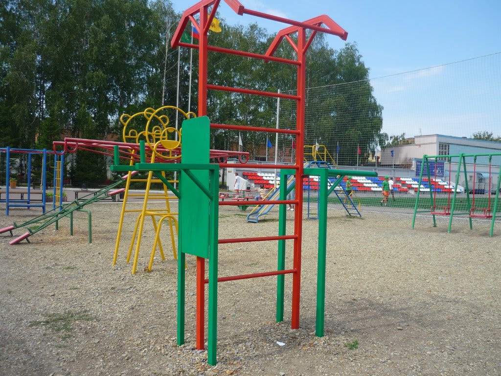 Sprossenwand bei Calisthenics Park at Зенит, городской округ Пенза – Foto 4 von 6
