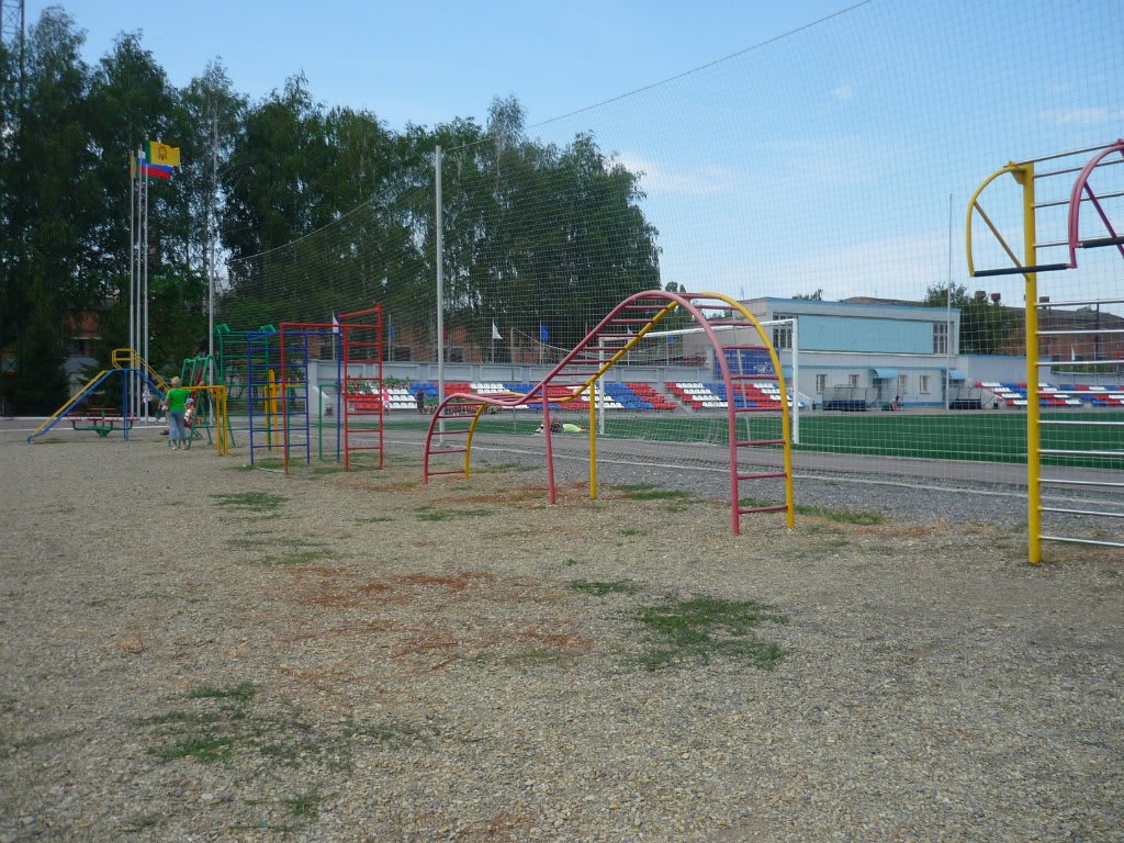 Klimmzugstange bei Calisthenics Park at Зенит, городской округ Пенза – Foto 5 von 6
