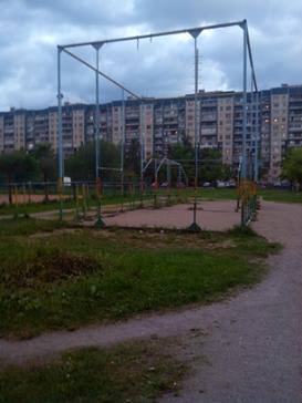 Parallel Gym Bars at Calisthenics Park at проспект Сизова, Санкт-Петербург – photo 2 of 2