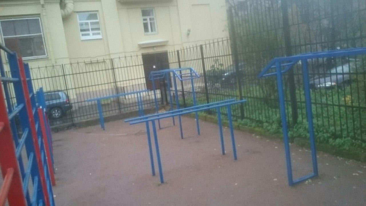 Parallel Gym Bars at Calisthenics Park at Левашовский проспект, Санкт-Петербург – photo 2 of 2