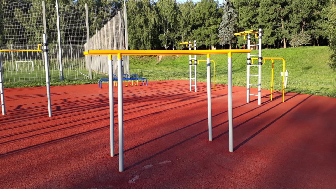 Wall Bars at Calisthenics Park at аллея Ветеранов, Москва – photo 4 of 11