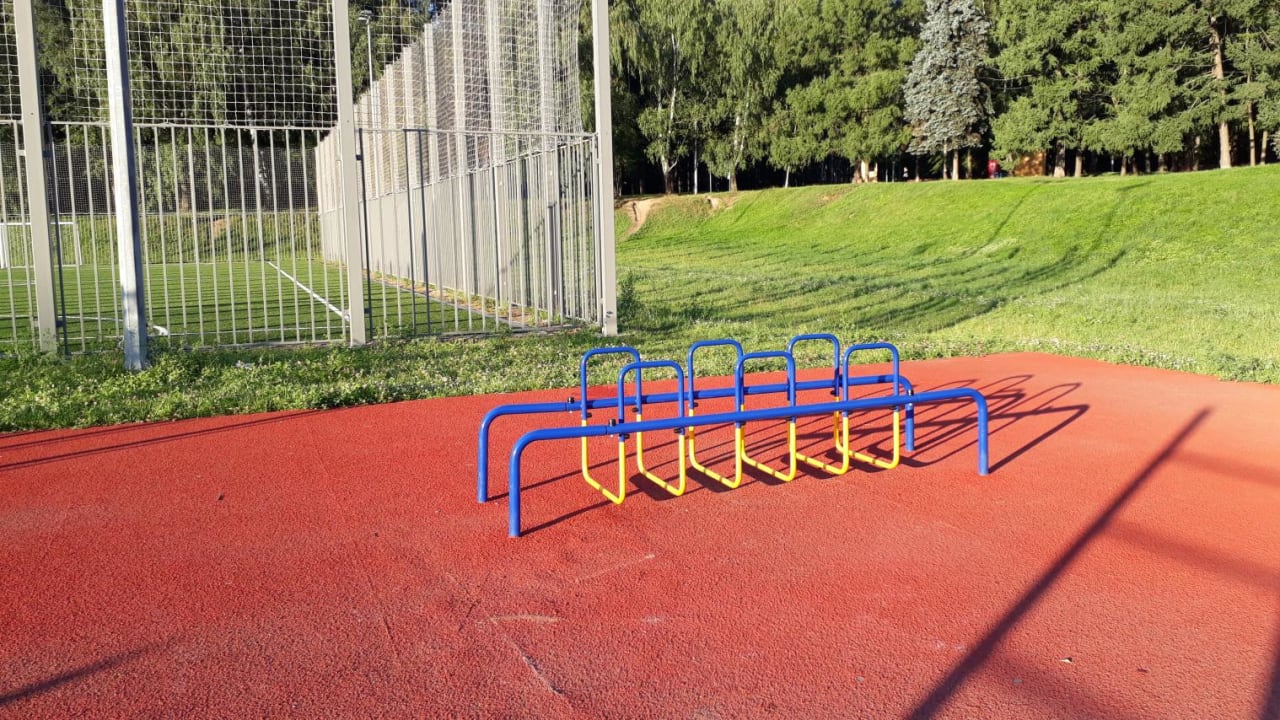 Monkey Bars at Calisthenics Park at аллея Ветеранов, Москва – photo 3 of 11