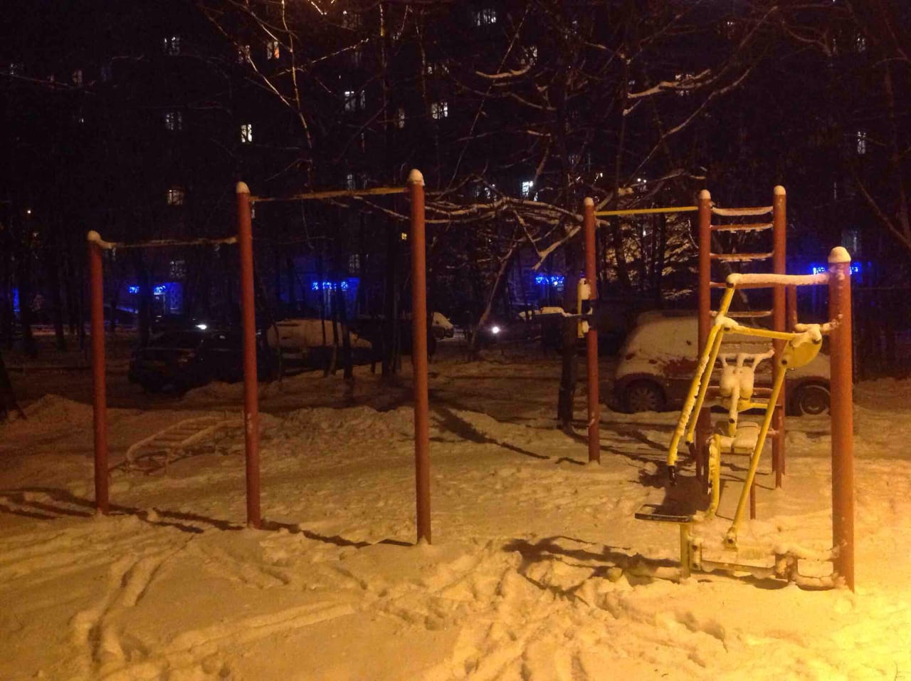 Parallel Gym Bars at Calisthenics Park at 11-я Парковая улица, Москва #wp2156 – photo 2 of 3