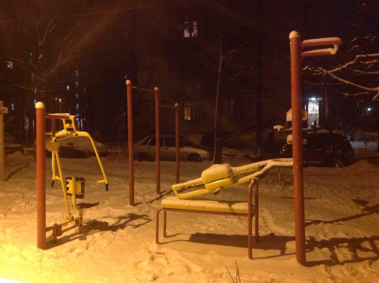 Wall Bars at Calisthenics Park at 11-я Парковая улица, Москва #wp2156 – photo 3 of 3