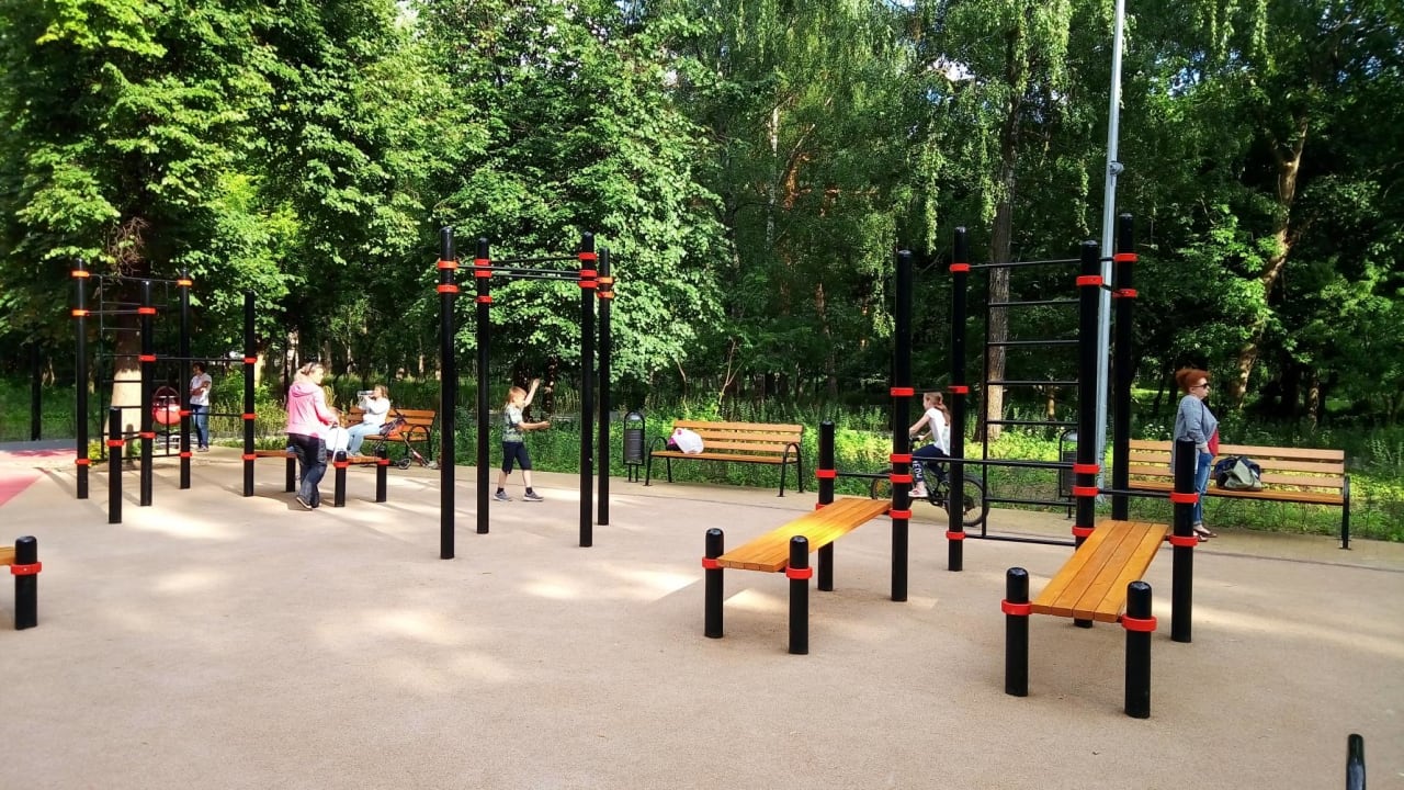 Monkey Bars at Calisthenics Park at ВЭБ Арена, Москва – photo 3 of 6