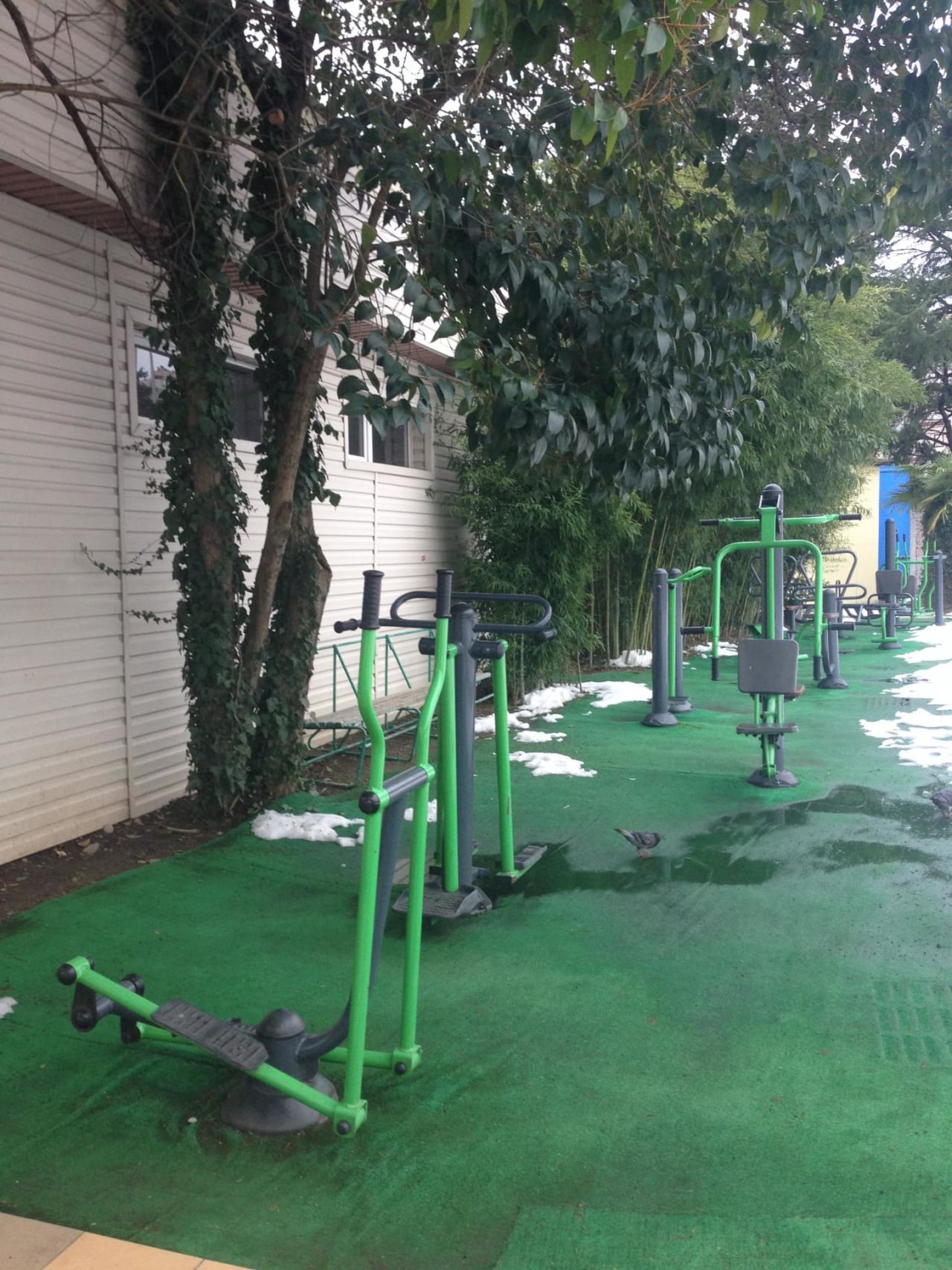 Parallel Gym Bars at Calisthenics Park at улица Бзугу, Сочи – photo 2 of 4