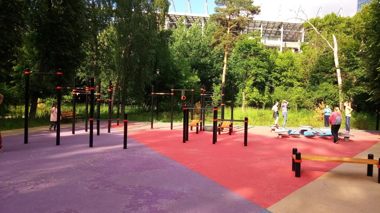 Gymnastic Rings at Calisthenics Park at ВЭБ Арена, Москва – photo 5 of 6