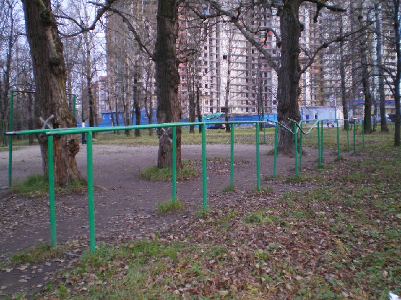 Monkey Bars at Calisthenics Park at Рыбацкий проспект, Санкт-Петербург – photo 3 of 3