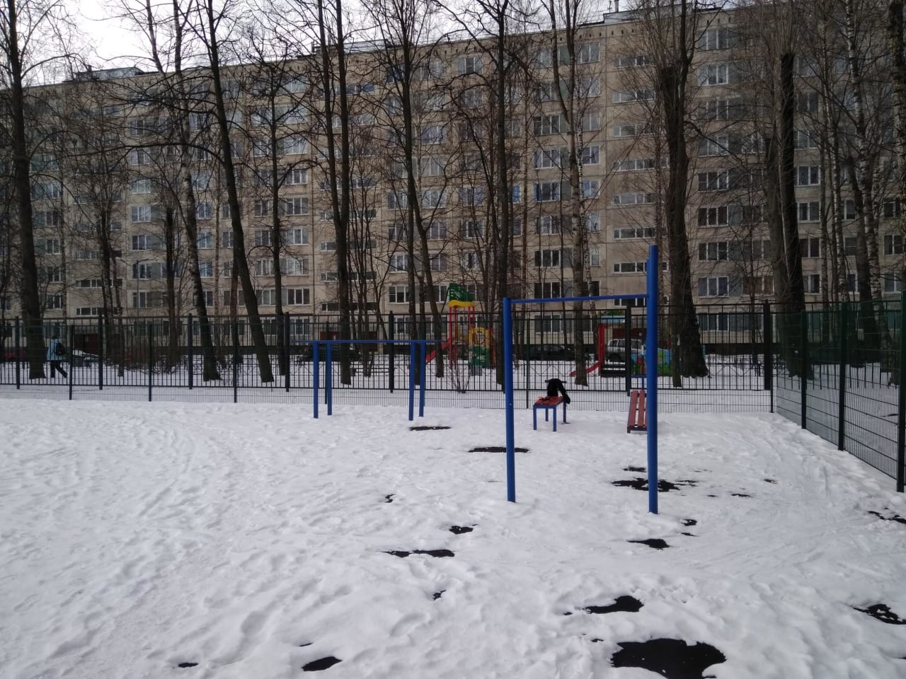 Pull Up Bar at Calisthenics Park at проспект Науки, Санкт-Петербург – photo 1 of 4