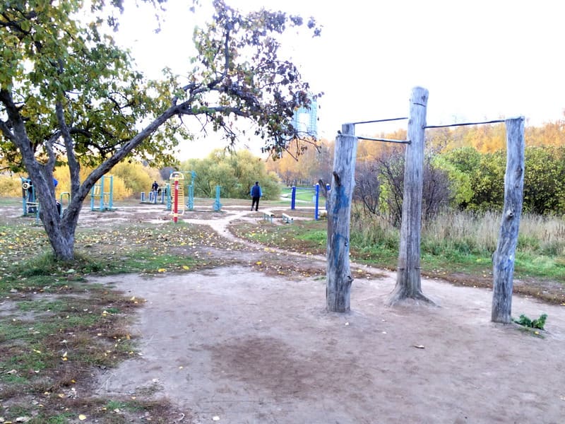 Parallel Gym Bars at Calisthenics Park at аллея Дорога Жизни, Москва #wp2167 – photo 2 of 2