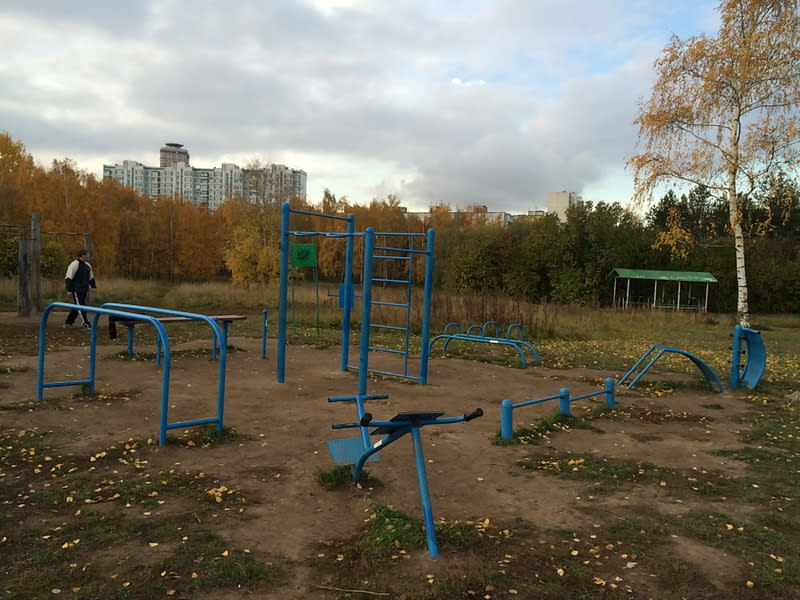 Pull Up Bar at Calisthenics Park at аллея Дорога Жизни, Москва #wp2167 – photo 1 of 2