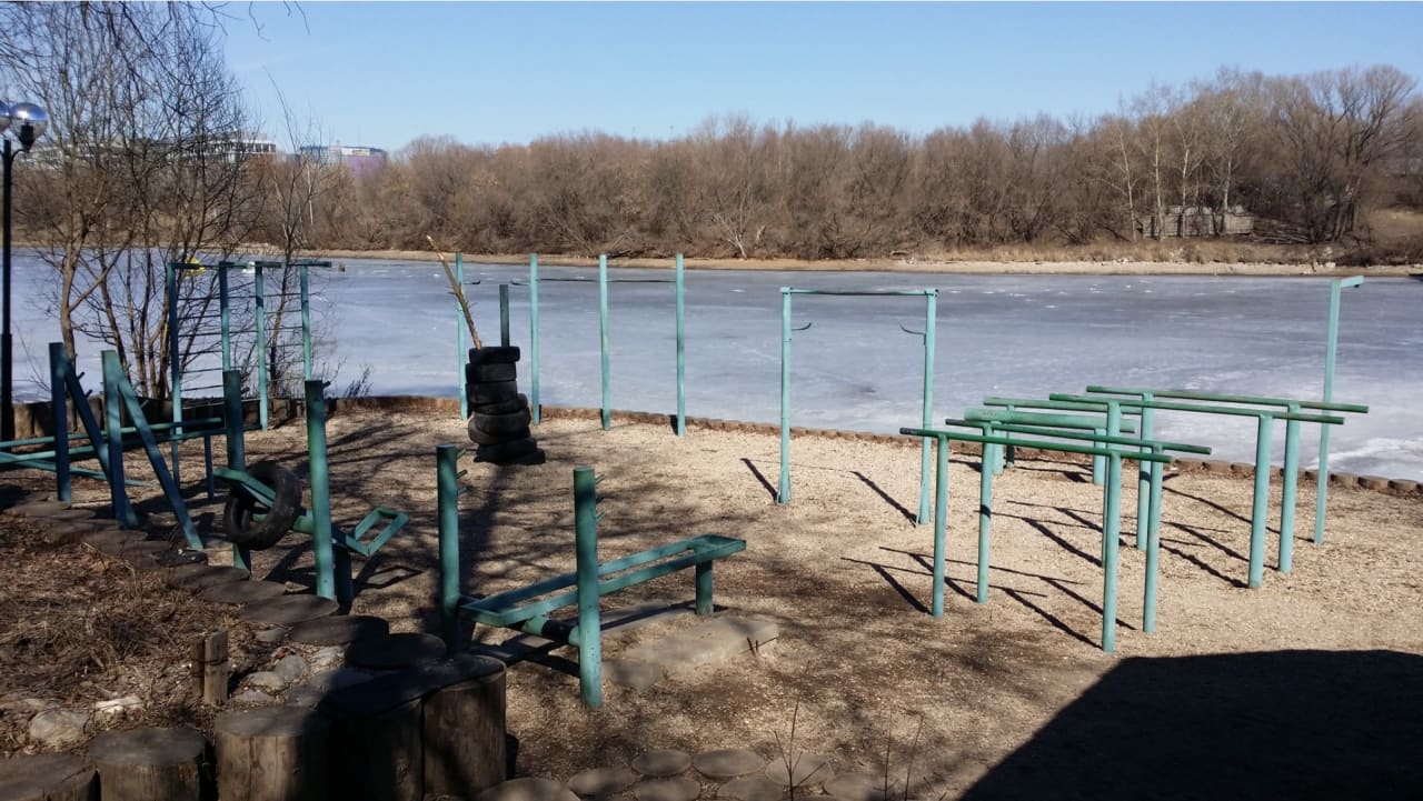 Monkey Bars at Calisthenics Park at улица Свободы, Москва #wp2185 – photo 7 of 8